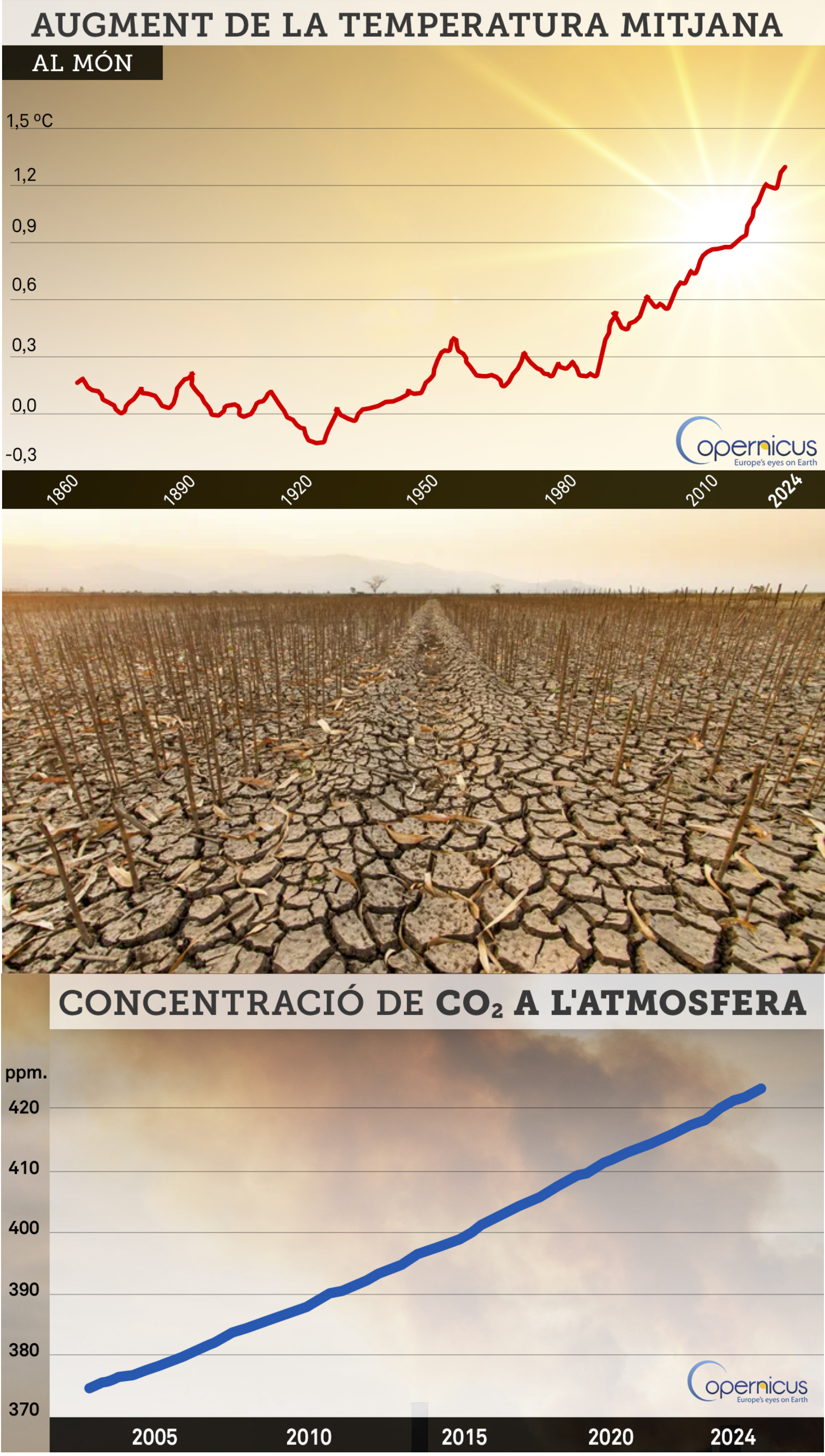 2024, l'any amb la temperatura global més alta de la història: